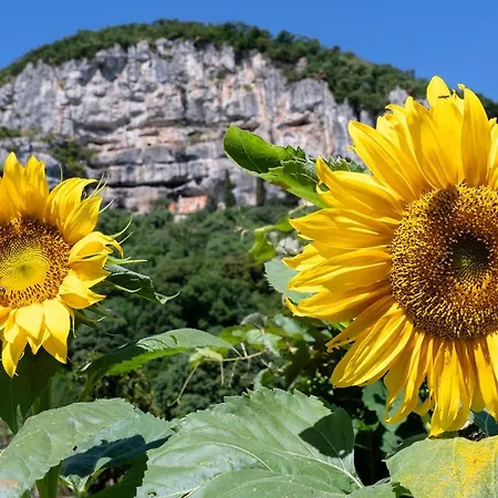 Frühstückspension In Valle
